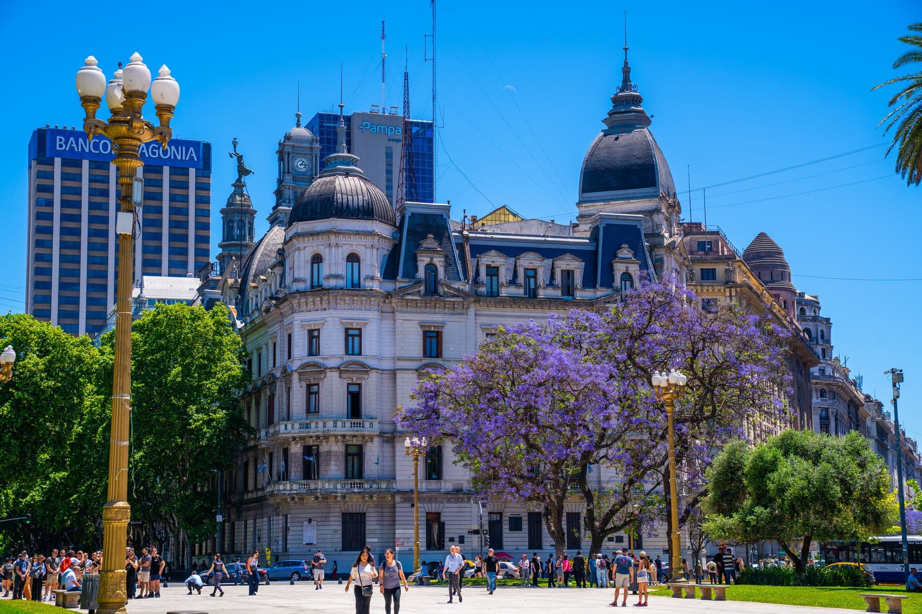 Street view of Plaza de Mayo with iconic buildings and jacaranda trees in Buenos Aires, Argentina.
