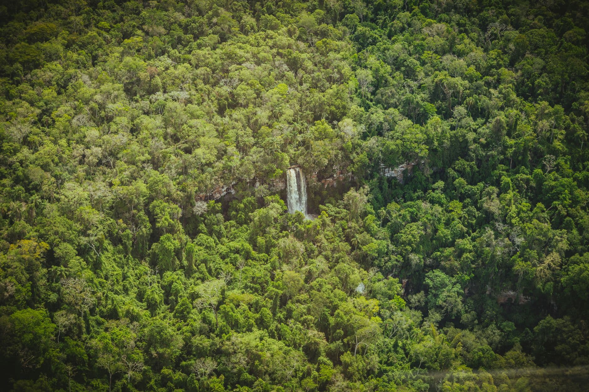 A stunning aerial shot of a hidden waterfall amidst the lush green forests of Foz do Iguaçu, Brazil.