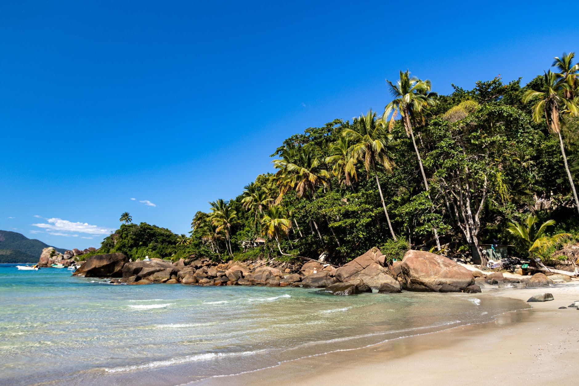 Stunning beach view with palm trees and rocks in Angra dos Reis, Brazil.