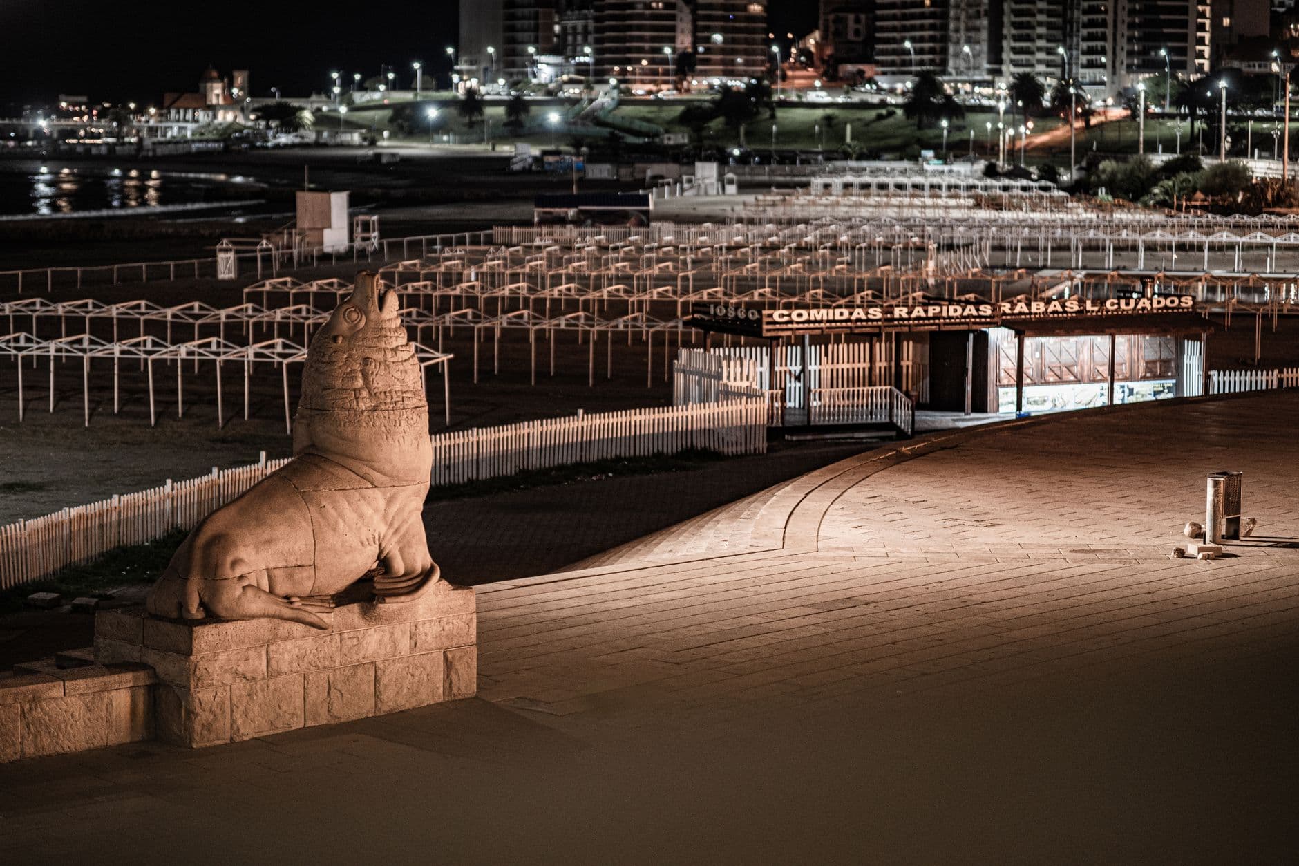 Dramatic night scene at Playa Bristol, Mar del Plata, featuring iconic sea lion statue and cityscape.