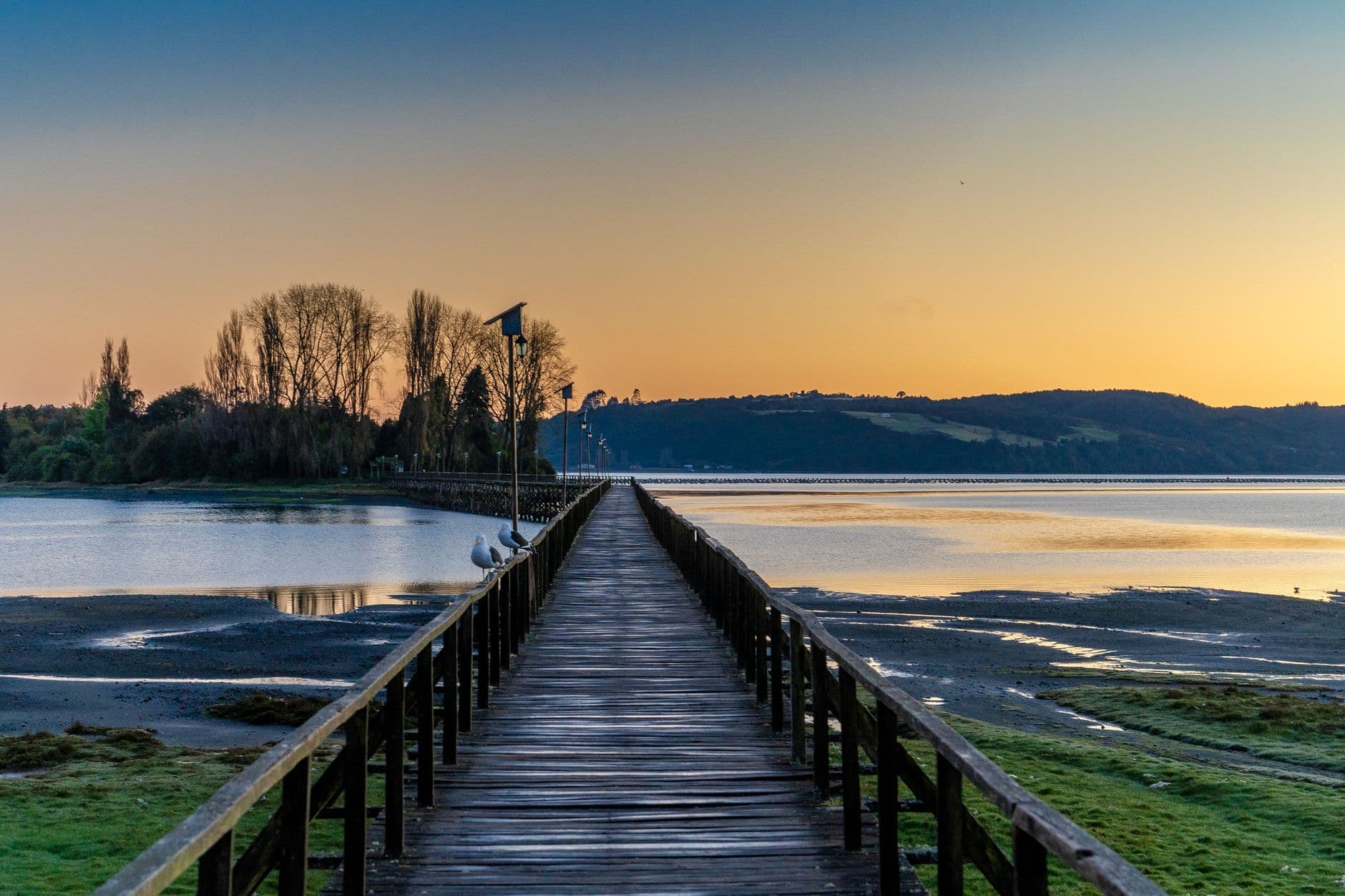 A tranquil view of a wooden pathway leading to the horizon over the calm sea at sunset.