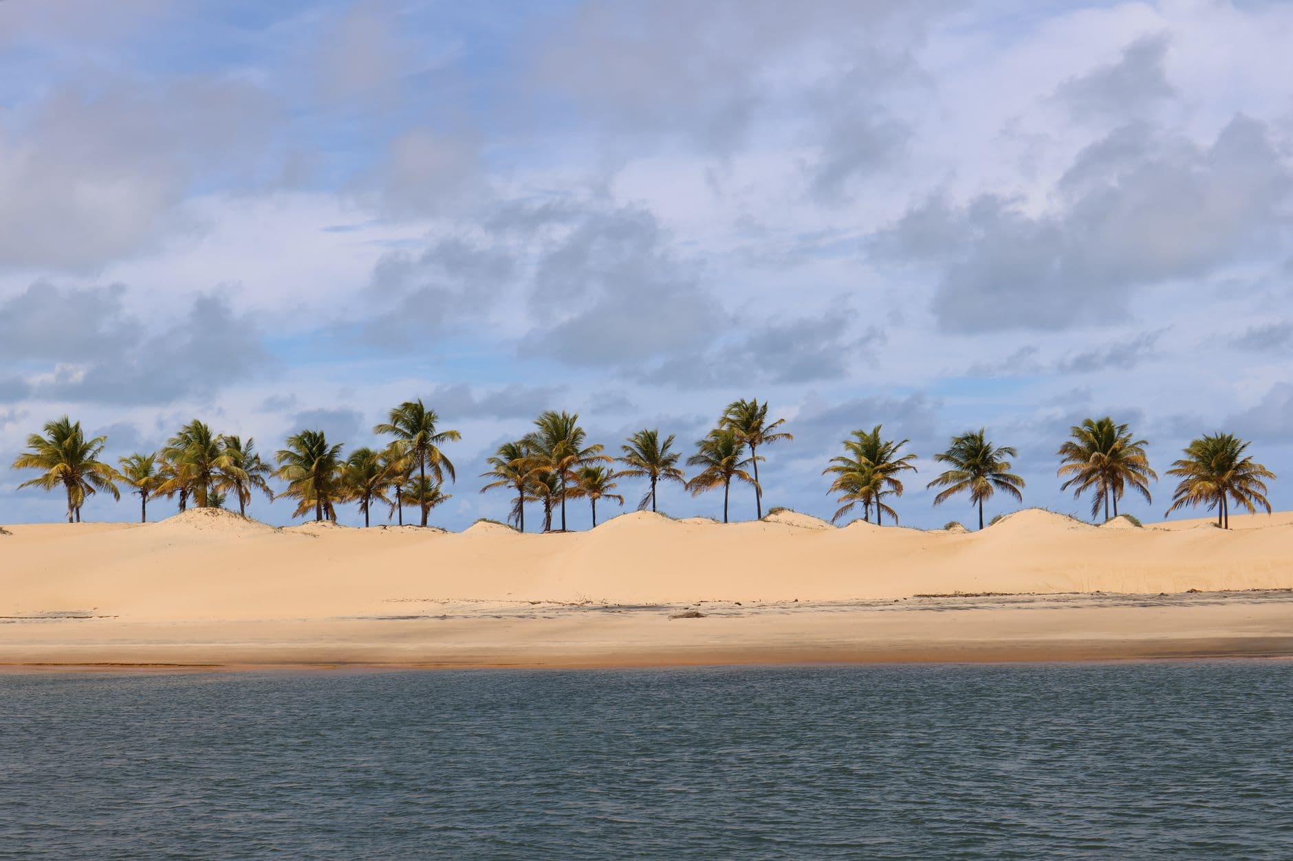 Beautiful tropical beach scene with palm trees and sandy dunes under a cloudy sky.