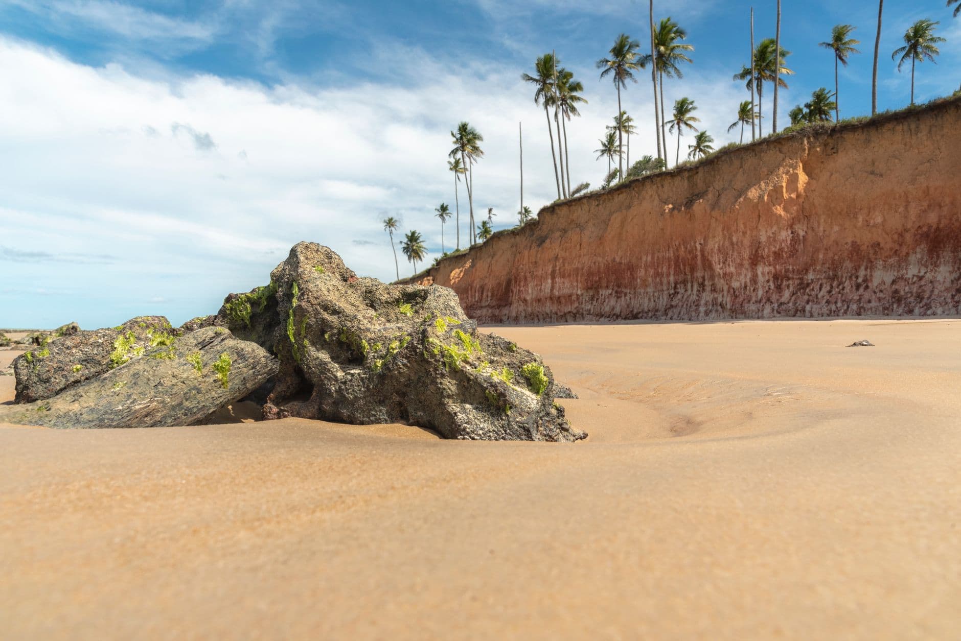 Scenic tropical beach in Prado, Brazil with palm trees, rocks, and sandy shore