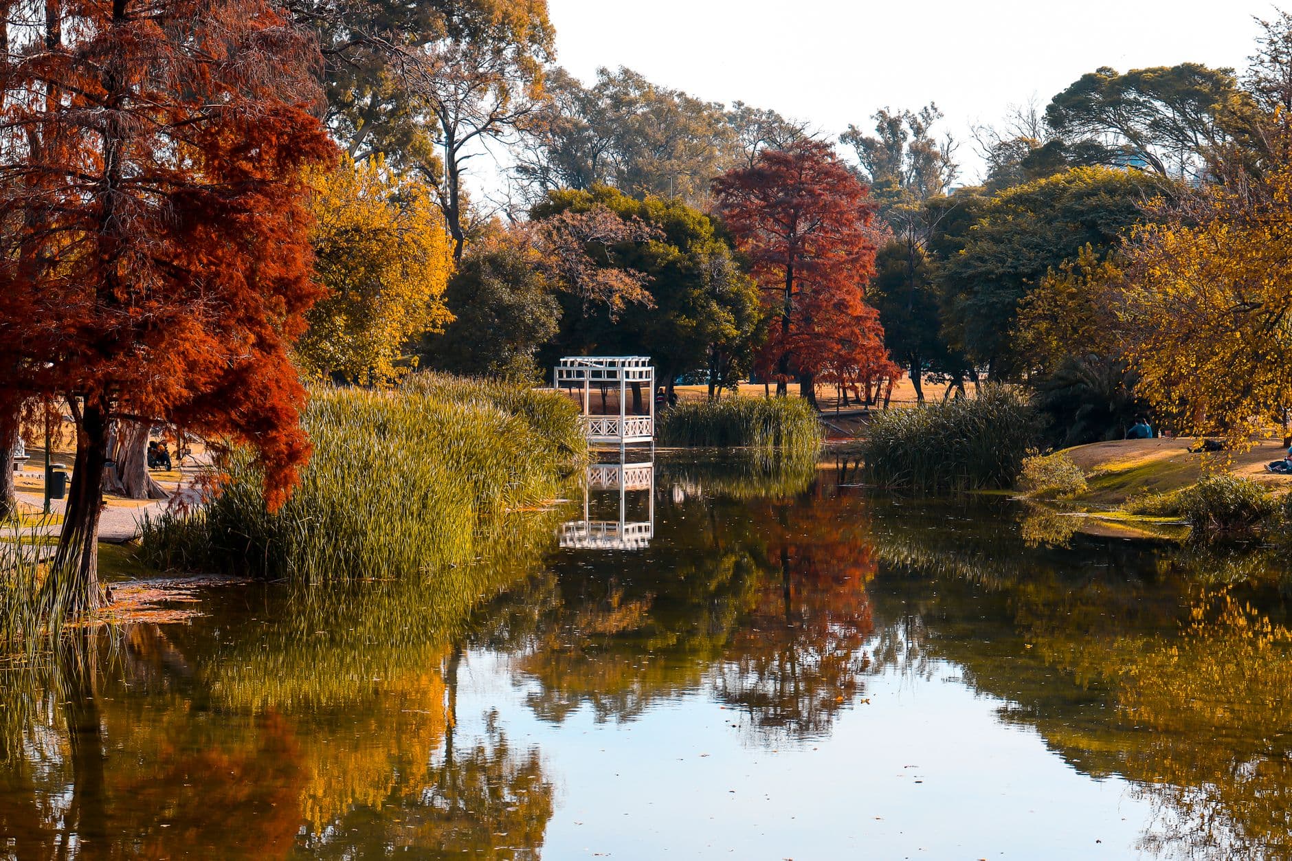 Stunning autumn colors and reflections in a Córdoba, Argentina park