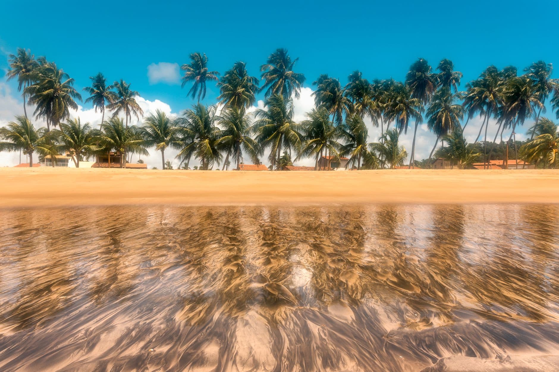 Serene view of São Miguel dos Milagres beach with coconut trees reflected in sand and water.