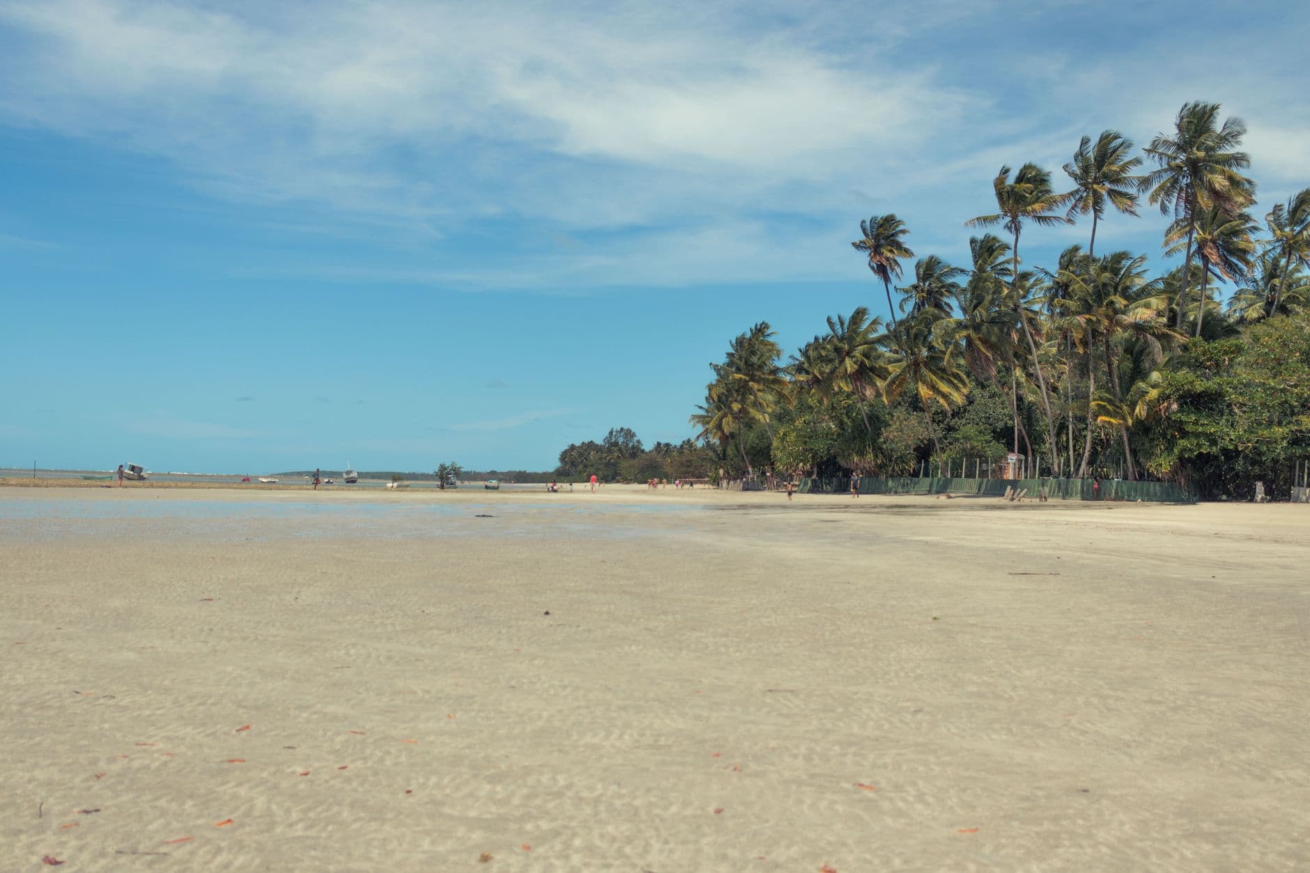 Experience the pristine sands and lush palm trees of Morro de São Paulo beach, Bahia, Brazil.